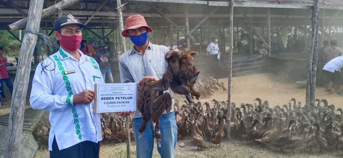 Tingkatkan Ketahanan Pangan, Warga Desa Atu Lintang Terima Bantuan Bebek Petelur