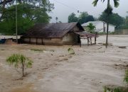 Aceh Darurat Bencana 14 Hari, Aceh Tengah Terisolasi