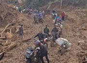 Menelusuri Jejak PT RWP dan PT LMR di Aceh: Izin, Modal, dan Bayang-Bayang Konflik Lahan