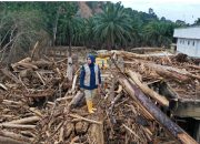 Media Asing, PBB, dan LSM Dunia Satu Suara: Aceh–Sumatra Alami Bencana Ekologis Akibat Kerusakan Lingkungan