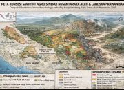 Ketika Negara Menjadi Pemilik Risiko