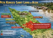 Rp6,6 Triliun Diselamatkan Negara, Aceh Masih Terendam: Antara Pujian Prabowo dan Peta Sawit Lama
