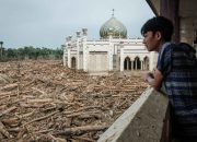 Tim Forensik Kayu BRIN Selidiki Asal Kayu Gelondongan Banjir Sumatra