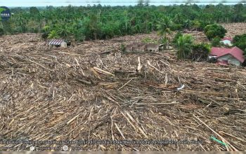 Tumpukan gelondongan kayu sisa banjir mengubur permukiman warga di Kecamatan Langkahan, Aceh Utara, pascabencana akhir November 2025. (Foto: Dok. Yayasan Hutan, Alam dan Lingkungan Aceh [HAkA]).