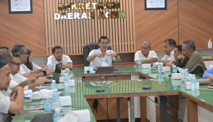 Pemprov Aceh Fokuskan Penyesuaian TKD 2026 untuk Penanganan Pascabencana