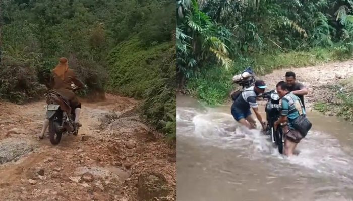 Viral Perjuangan Guru di Sumbar, Tempuh Jalan Rusak dan Sungai Demi Mengajar