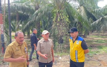Wakil Gubernur Aceh Tinjau Jalan Rusak dan Perusahaan Air Minum di Aceh Tamiang