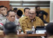 Safrizal Tegaskan Kayu Eks Banjir dan Tanah Longsor di Aceh Dapat Dimanfaatkan