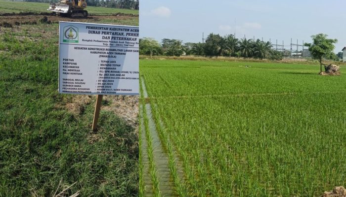 Pemulihan ini menjadi bukti bahwa kolaborasi, kerja cepat, dan komitmen dalam penanganan pascabencana mampu mengembalikan harapan, memperkuat ketahanan pangan, serta menggerakkan kembali roda ekonomi warga di wilayah terdampak banjir.