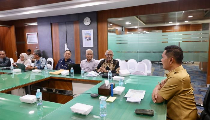 Investor Mulai Lirik Hilirisasi Migas KEK Arun, Mualem Targetkan Blok Andaman Dongkrak Ekonomi Aceh