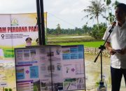 Pemerintah Aceh Percepat Rehabilitasi 57 Ribu Hektare Lahan Pertanian Pascabencana