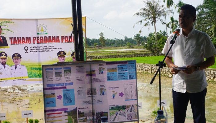 Pemerintah Aceh Percepat Rehabilitasi 57 Ribu Hektare Lahan Pertanian Pascabencana