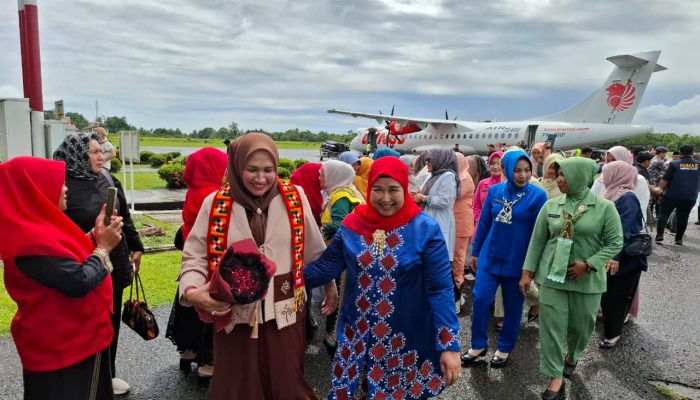 Ketua TP PKK Aceh Serahkan Bantuan Bufferstok Rp2,2 Miliar dan Bantuan UMKM di Simeulu