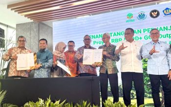 Aceh Dapat Hibah Rp27 Miliar untuk Hutan, Mualem Dorong Penguatan Tata Kelola REDD+